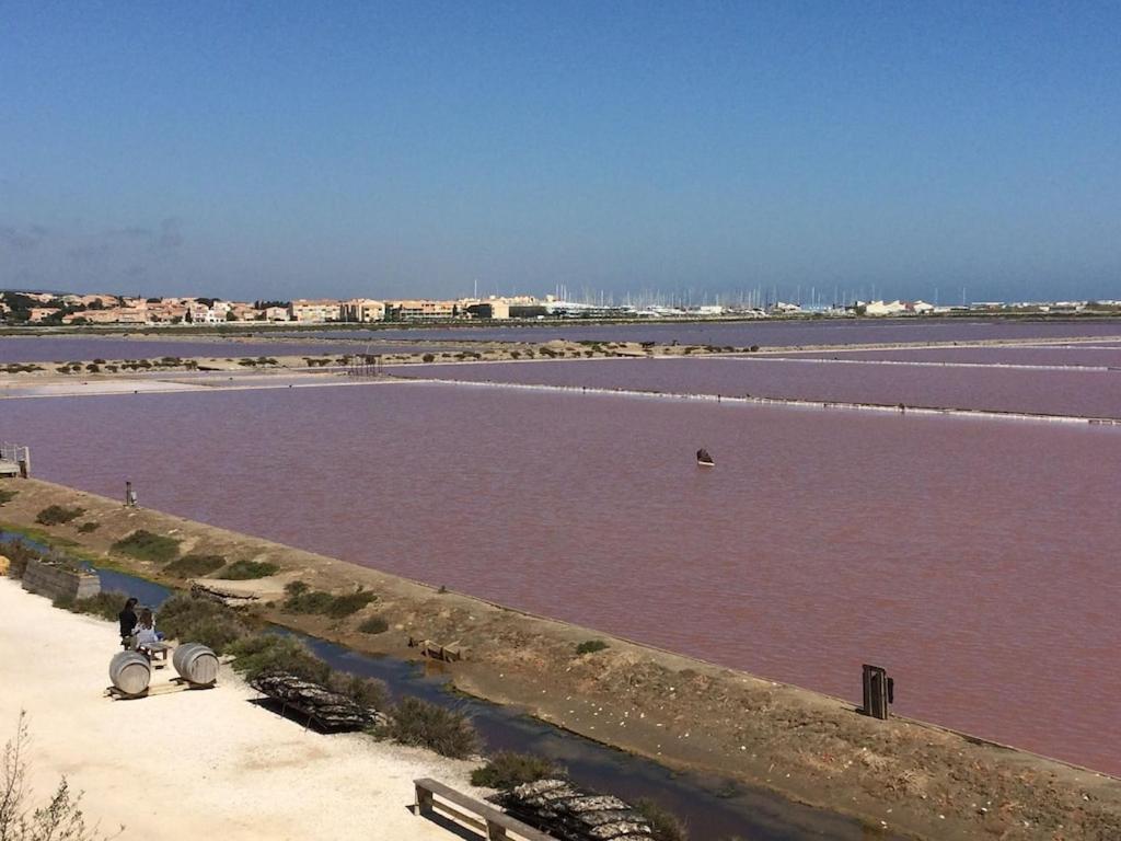 Gruissan Appartement Calme, Vue Sur Port De Plaisance -Clim, Empl.Parking Extérieur photo