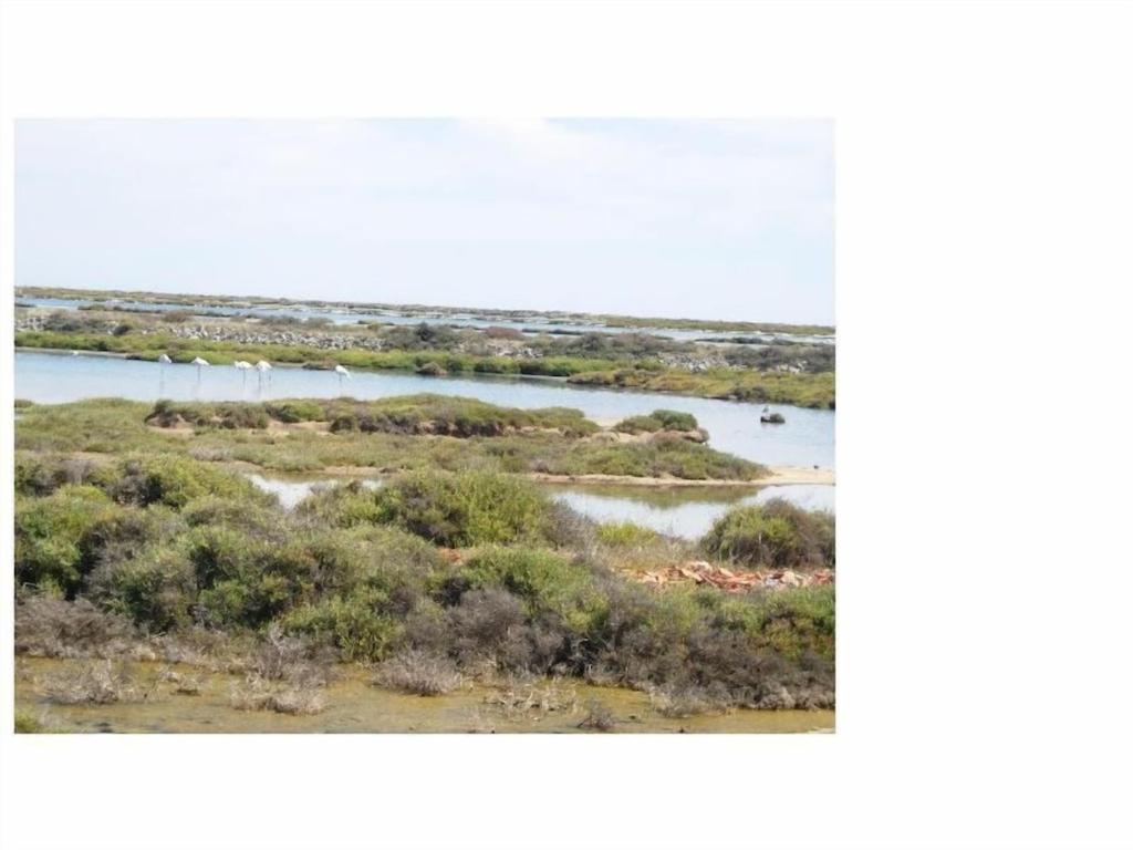 Gruissan Appartement Calme, Vue Sur Port De Plaisance -Clim, Empl.Parking Extérieur photo