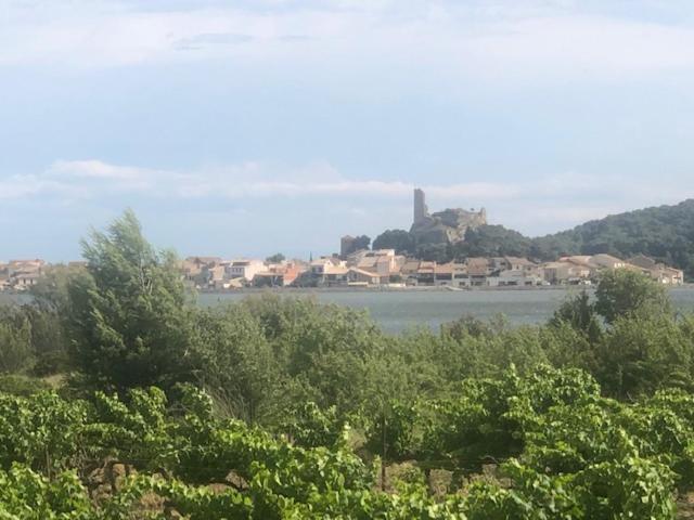 Gruissan Appartement Calme, Vue Sur Port De Plaisance -Clim, Empl.Parking Extérieur photo